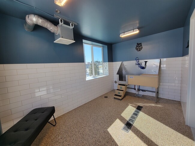 Dog wash station - The Commons at Pointe Plaza