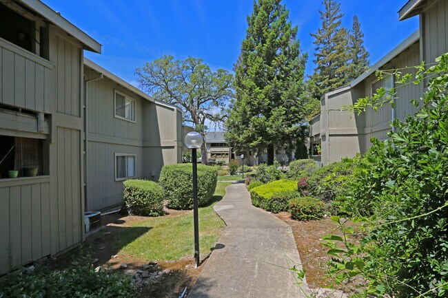 Photo - Silver Oaks Apartments