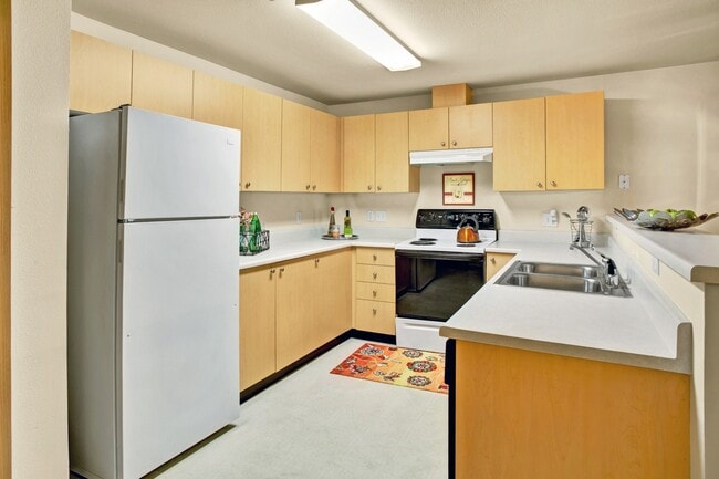 Photo - Sunrise Lane