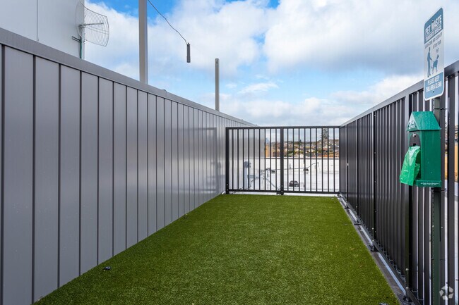 Parque para perros en la azotea - Bellevue 10