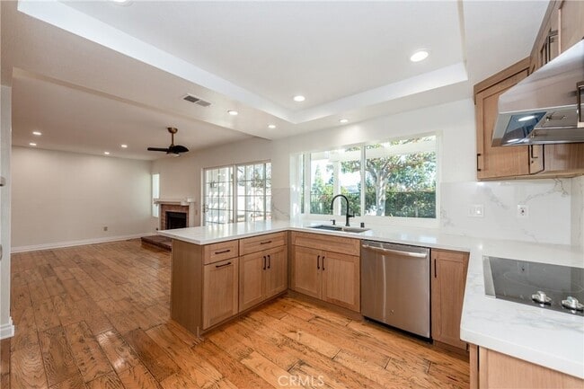 Photo - 6 Elderberry