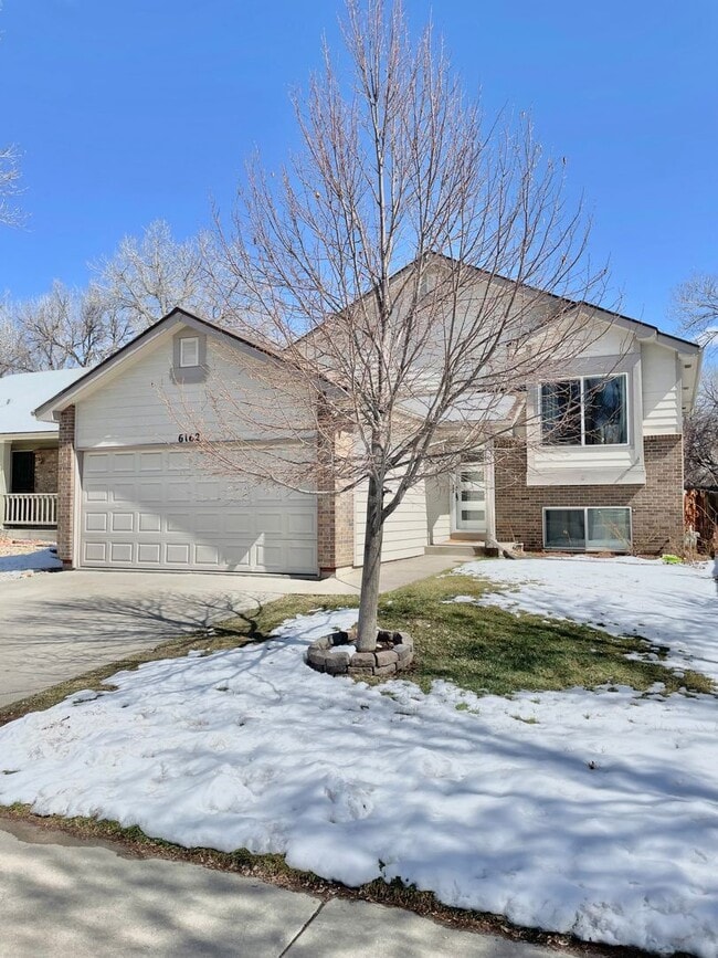 6162 Perry St House for Rent in Arvada, CO