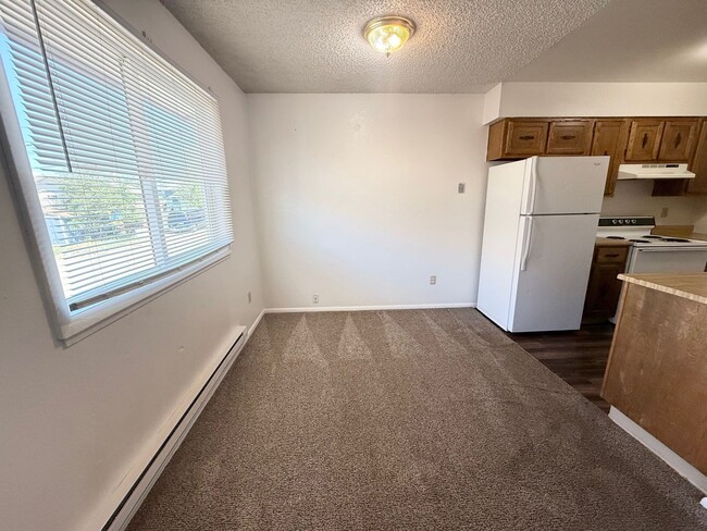 1039 S Chestnut St Unit 3