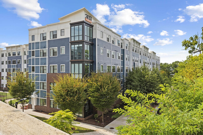 Building Photo - 303 Flats