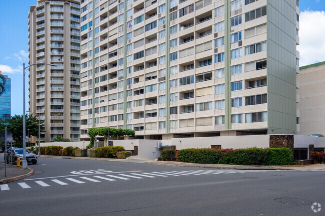 Photo - The Woodrose