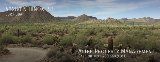 Photo - 43280 N Hinoki St