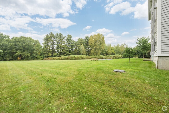 Spacious Lawn