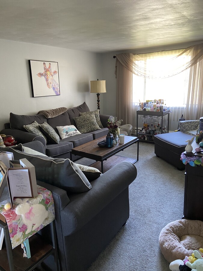 Large Living Room - 96 Belmont Ave Apartments Unit 4