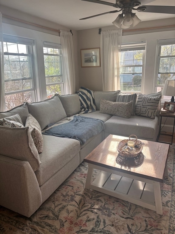 Building Photo - 73 Edinboro Rd Unit 1