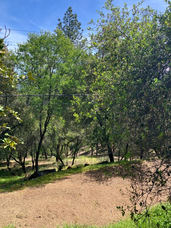 Photo - 190 Lubeck Rd Unidad 190 luveck rd