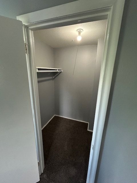 Walk in closet - 66 Atlantic St