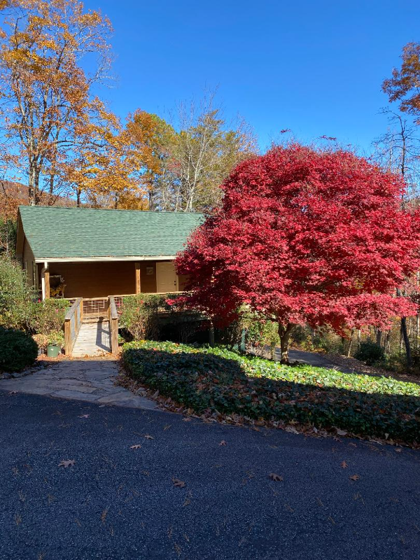 Building Photo - 173 Payne Hill Dr Rental