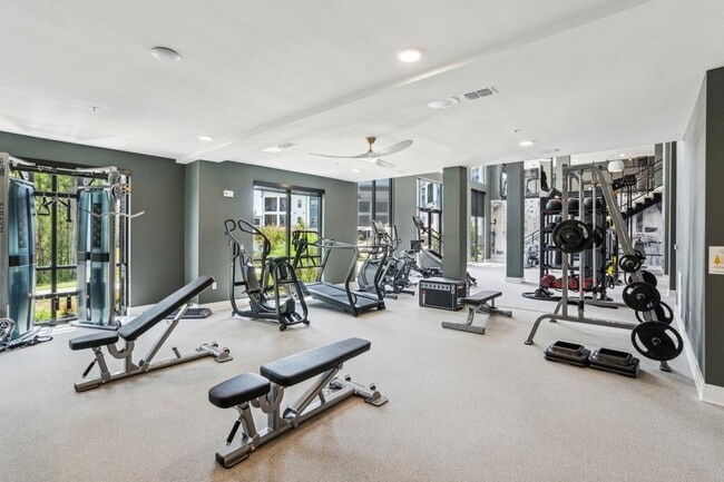 Gimnasio de dos pisos con equipos cardiovasculares, de resistencia y pesas libres