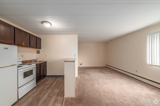 Studio 1 BA - 400SF - Kitchen and Living Space