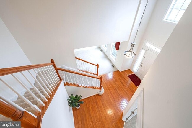 Photo - 13655 America Dr