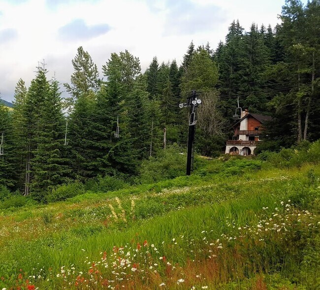 House in the summer. Ski chairlift in front of the house.