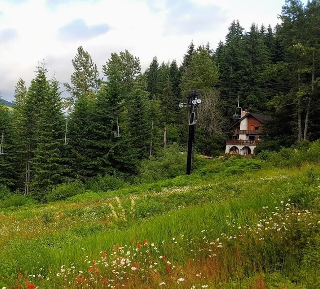 House in the summer. Ski chairlift in front of the house. - 1041 Snoqualmie Dr Unidad Studio