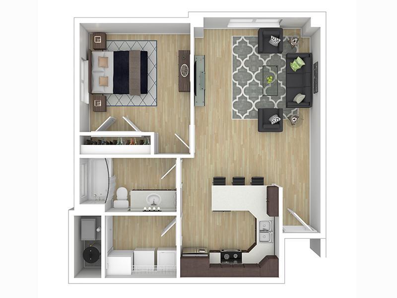 Floor Plan - 1x1