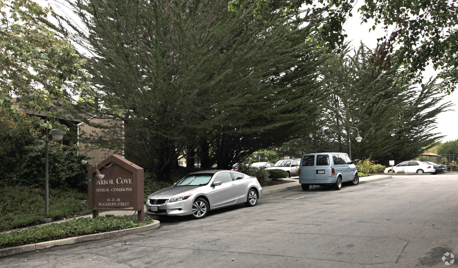 Photo - Arbor Cove Senior Common