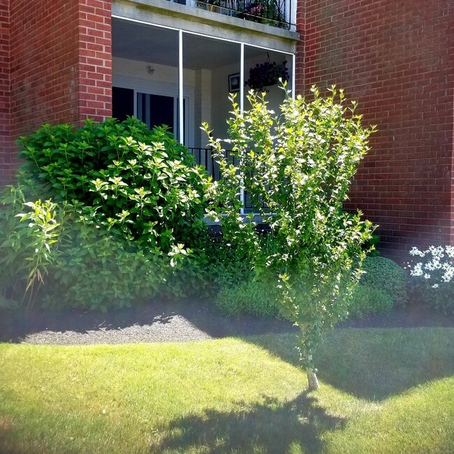 Photo - 185 Melba St Unit APT 109