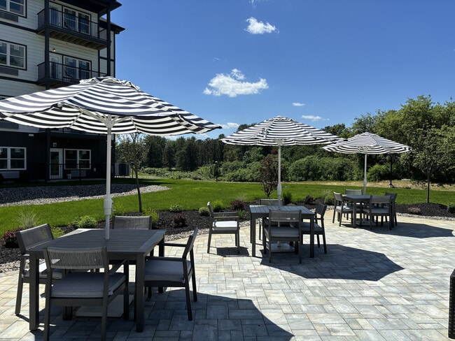 Hamilton Parc