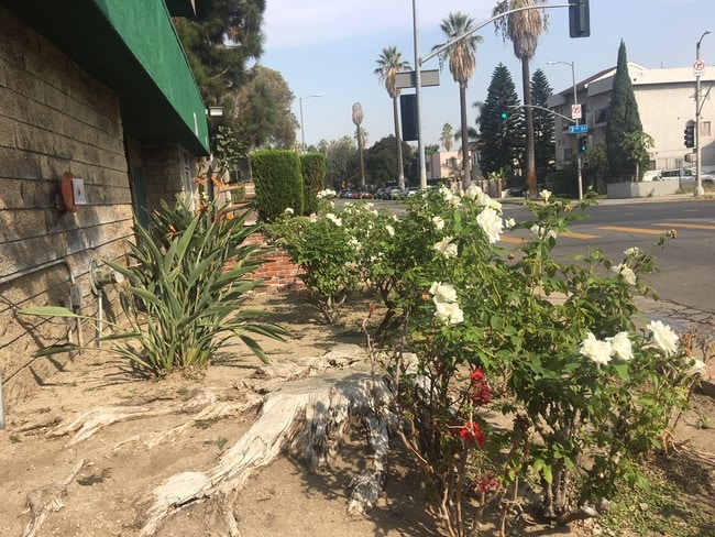 Photo - 303 Commonwealth Ave Unit 106