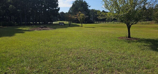 Photo - Cutie in the Country