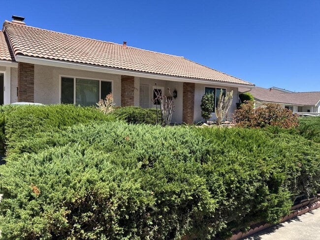 Photo - 835 McLain St