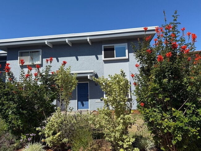Building Photo - Welcome to Villa Bonita – Your Coastal Ret... Unit 12 Rental