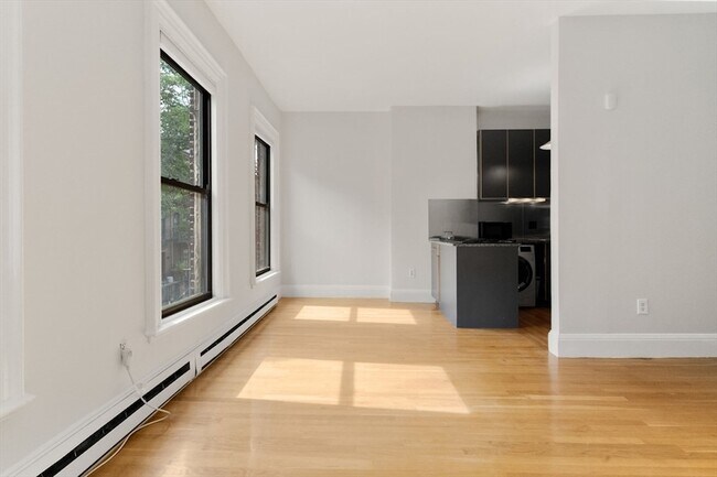 182 W Brookline St Unit 3