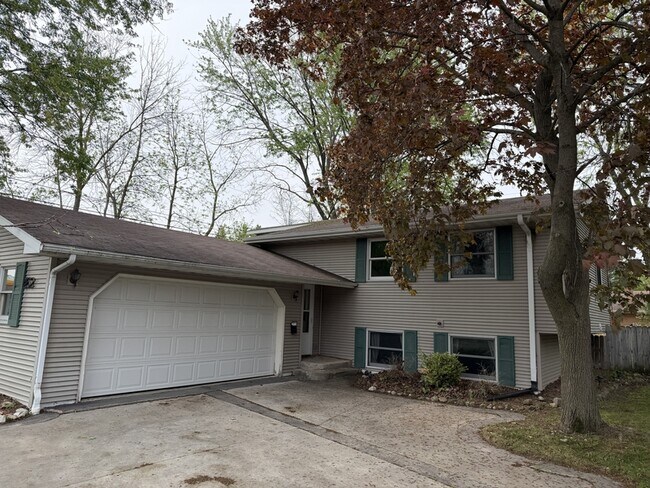 Photo - 452 Cook St