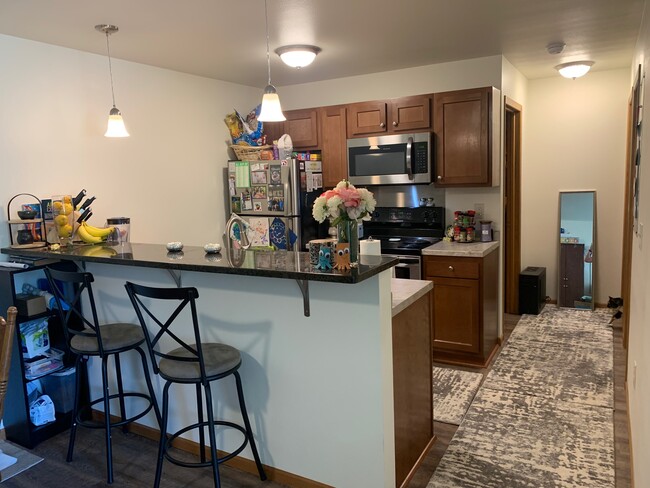 Big Beautiful Granite Breakfast Bar! - 420 Hill St Apartments Unit 103