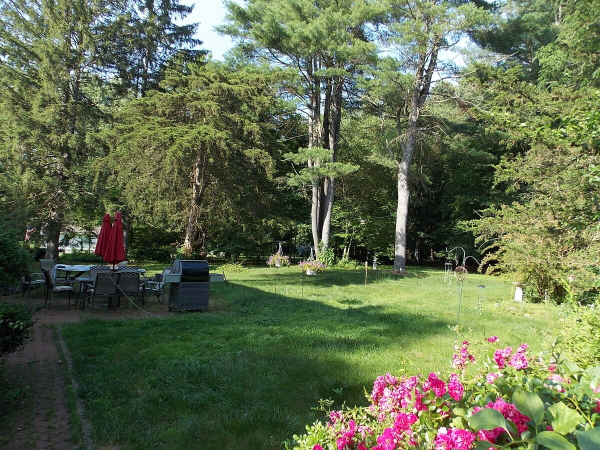 Patio, Grill and 1 acre level lot - 54 Hungary Rd Casa