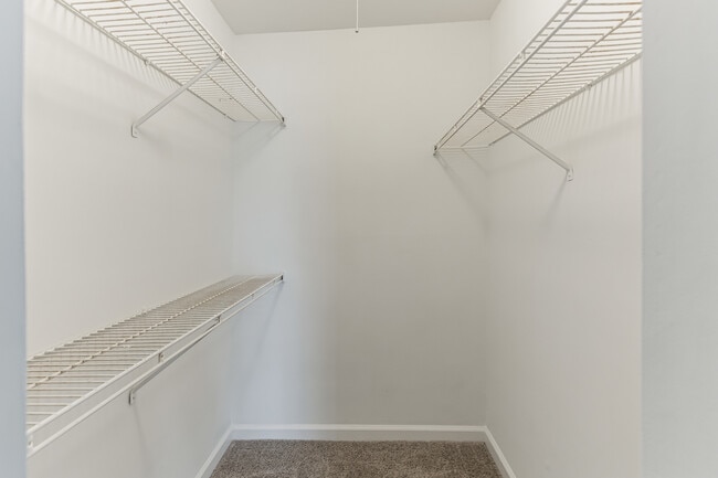 Northcliffe Forest Apartments