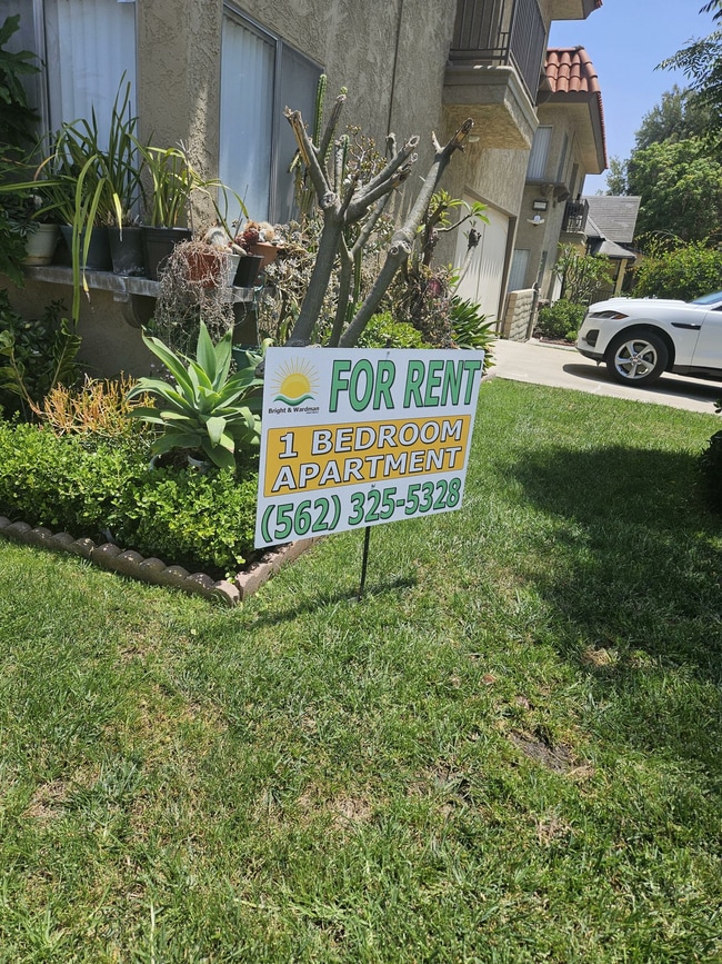 Bright & Wardman Apartments