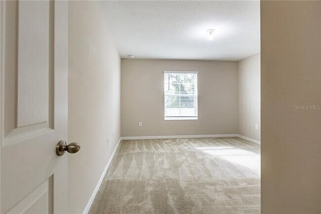 Photo - 6409 Tillandsia Pl