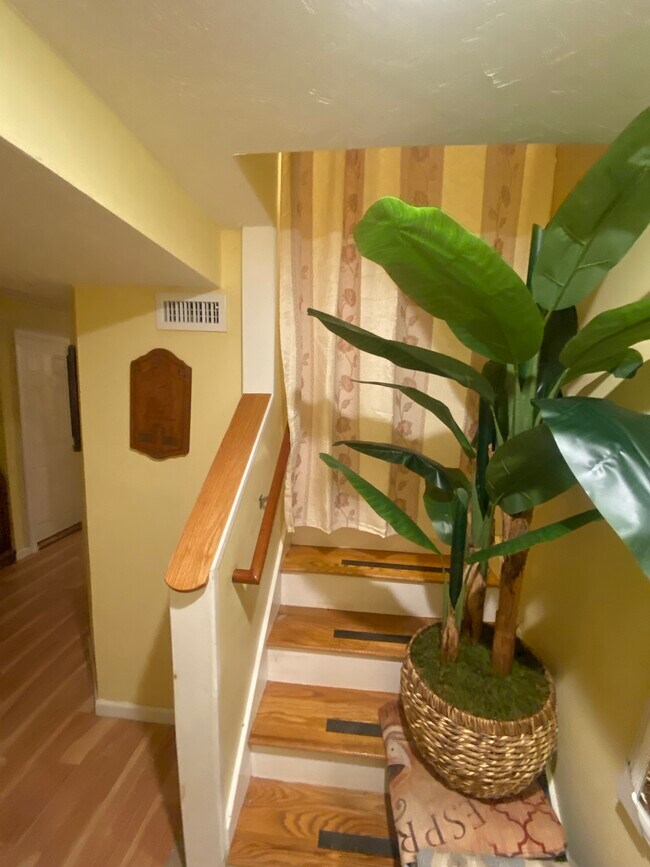 Photo - 40 Castine St