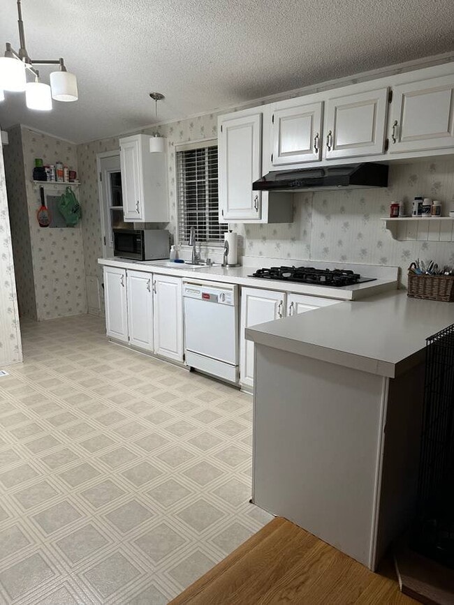 Photo - 981 Sevier Rd