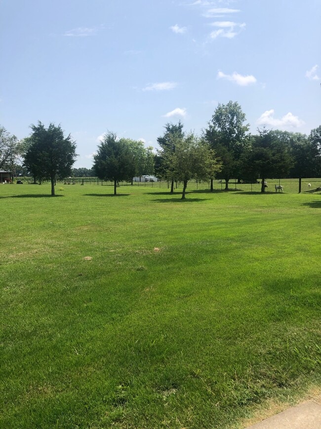 Photo - 11824 E Cypress Dr