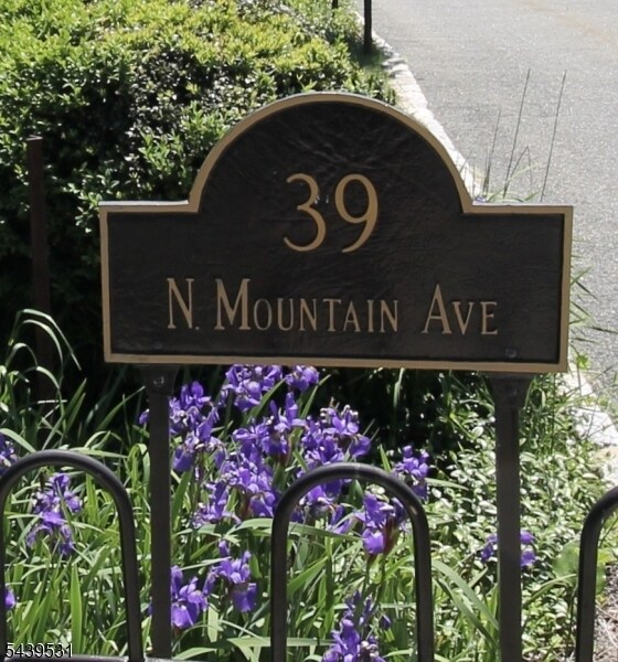 Photo - 39 N Mountain Ave Unit 9