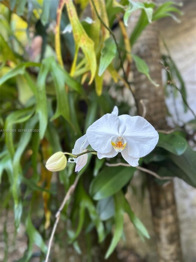 Photo - 2842 Coconut Ave Unit B