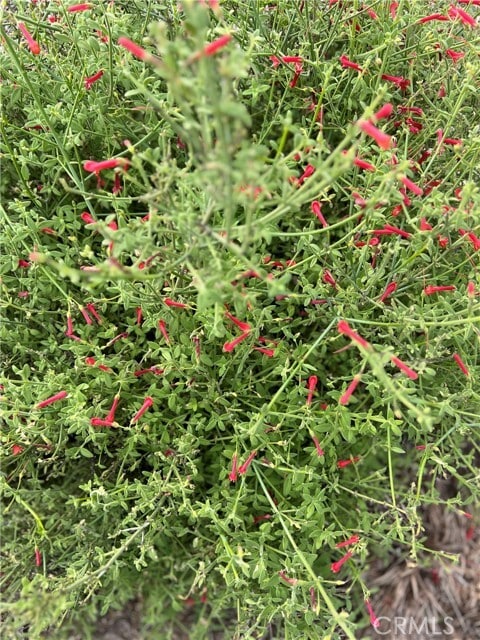 Photo - 45766 Altree Ct