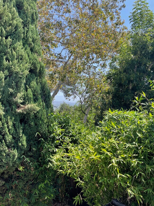 Vista desde la cubierta - 2522 Lake View Ave Unidad 2522