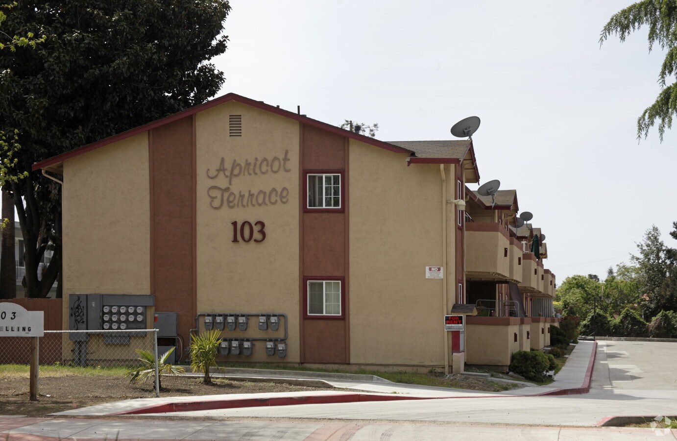 Photo - Apricot Terrace Apartments