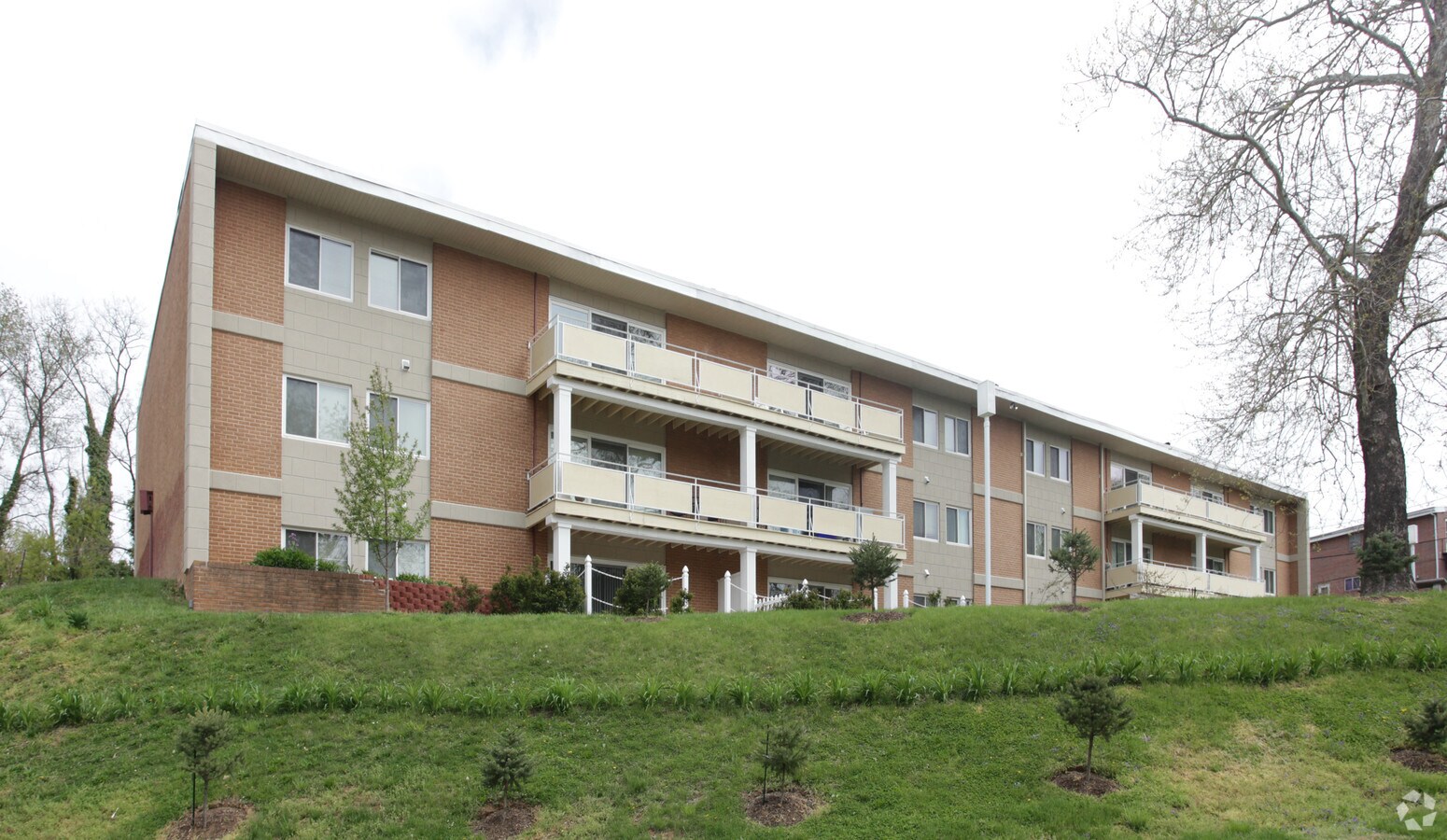 Photo - 901-903 Woodson Rd