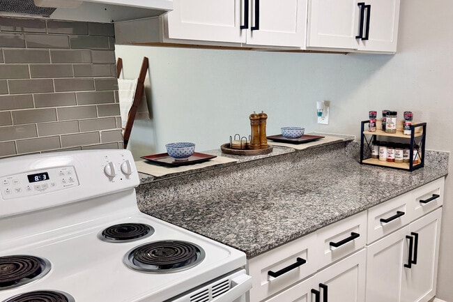 The Arts Apartments at Bluebonnet Place