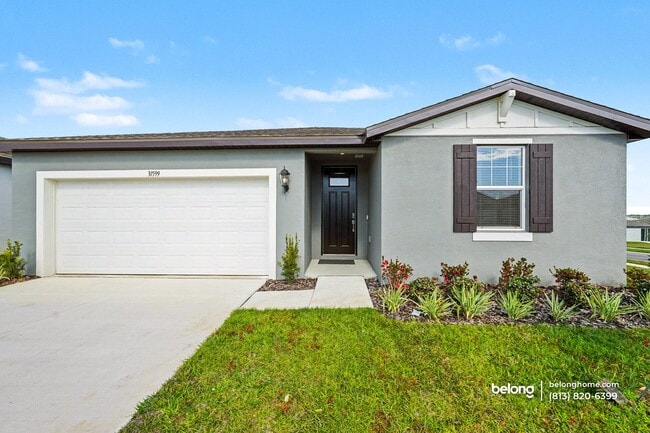 Photo - 31599 Wild Grape Ln