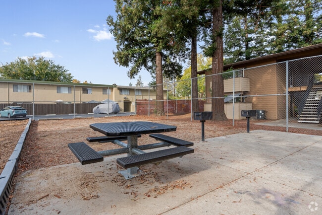 Picnic Area