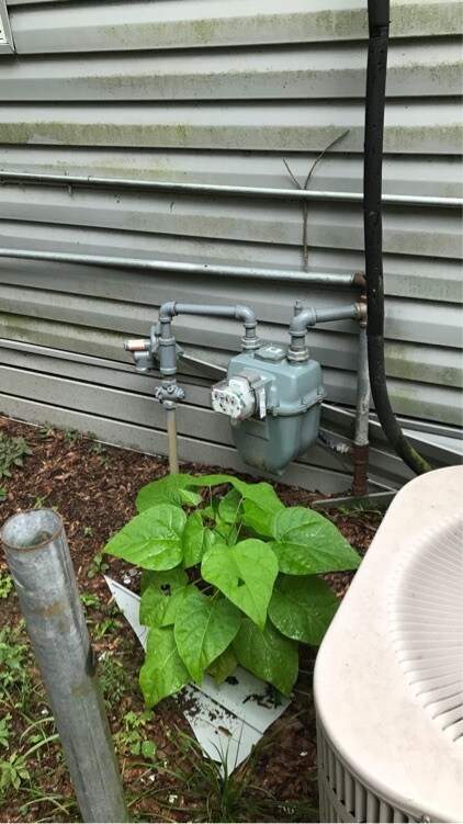 Photo - 613 Wilmuth St