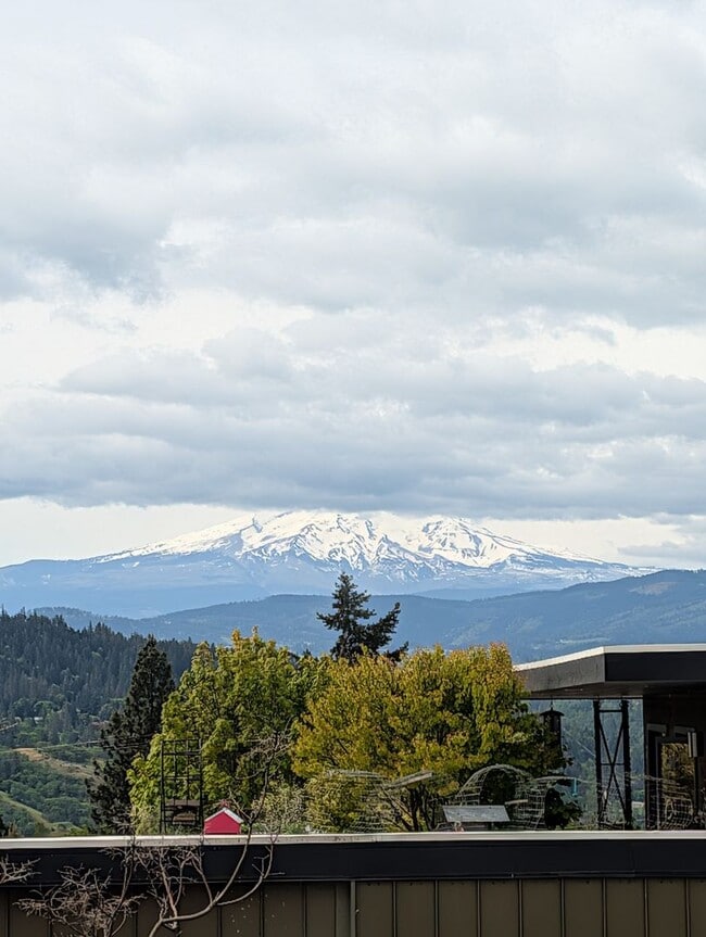 Photo - 1 Bedroom 1 Bath | White Salmon, WA